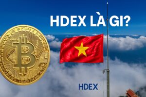 HDEX Là Gì? Sàn Giao Dịch Tiền Mã Hóa Uy Tín Việt Nam